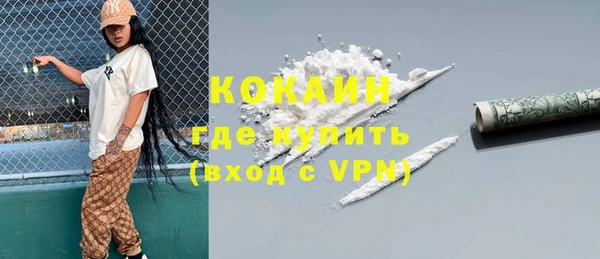 шишки Нея