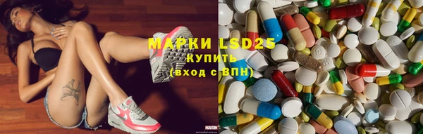 шишки Нея