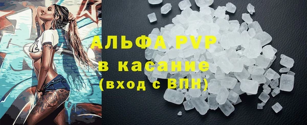 хмурый Нефтекумск