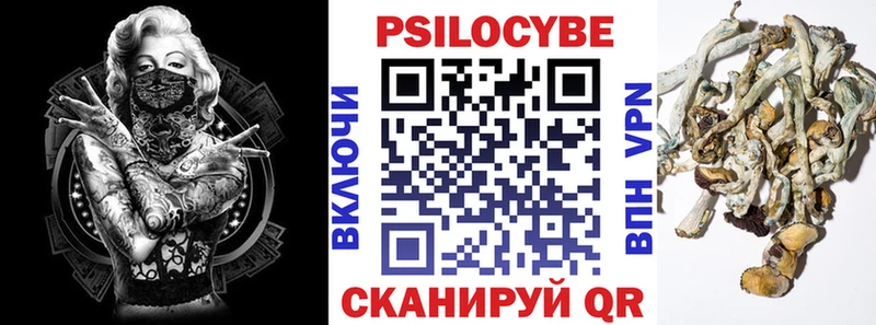 магазин  наркотиков  Нариманов  нарко площадка Telegram  Галлюциногенные грибы Psilocybine cubensis 